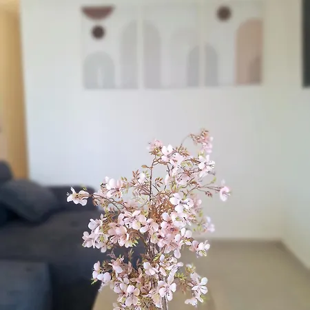 Sunrise Palette Apartament