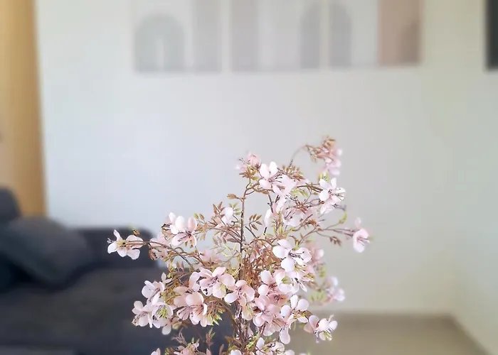 Sunrise Palette Appartement