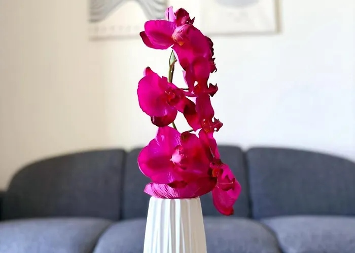 Sunrise Palette Appartement