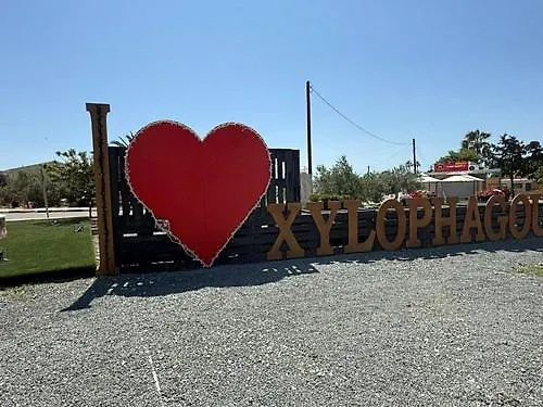 Sunrise Palette Lárnaca